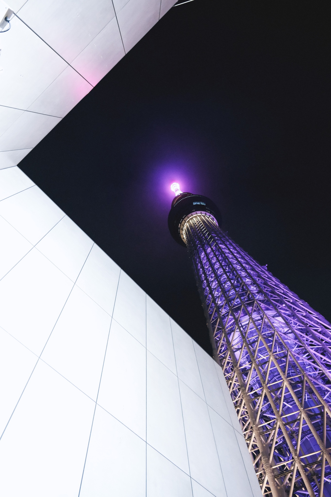 Tokyo Skytree illuminata di viola incorniciata da geometrie bianche