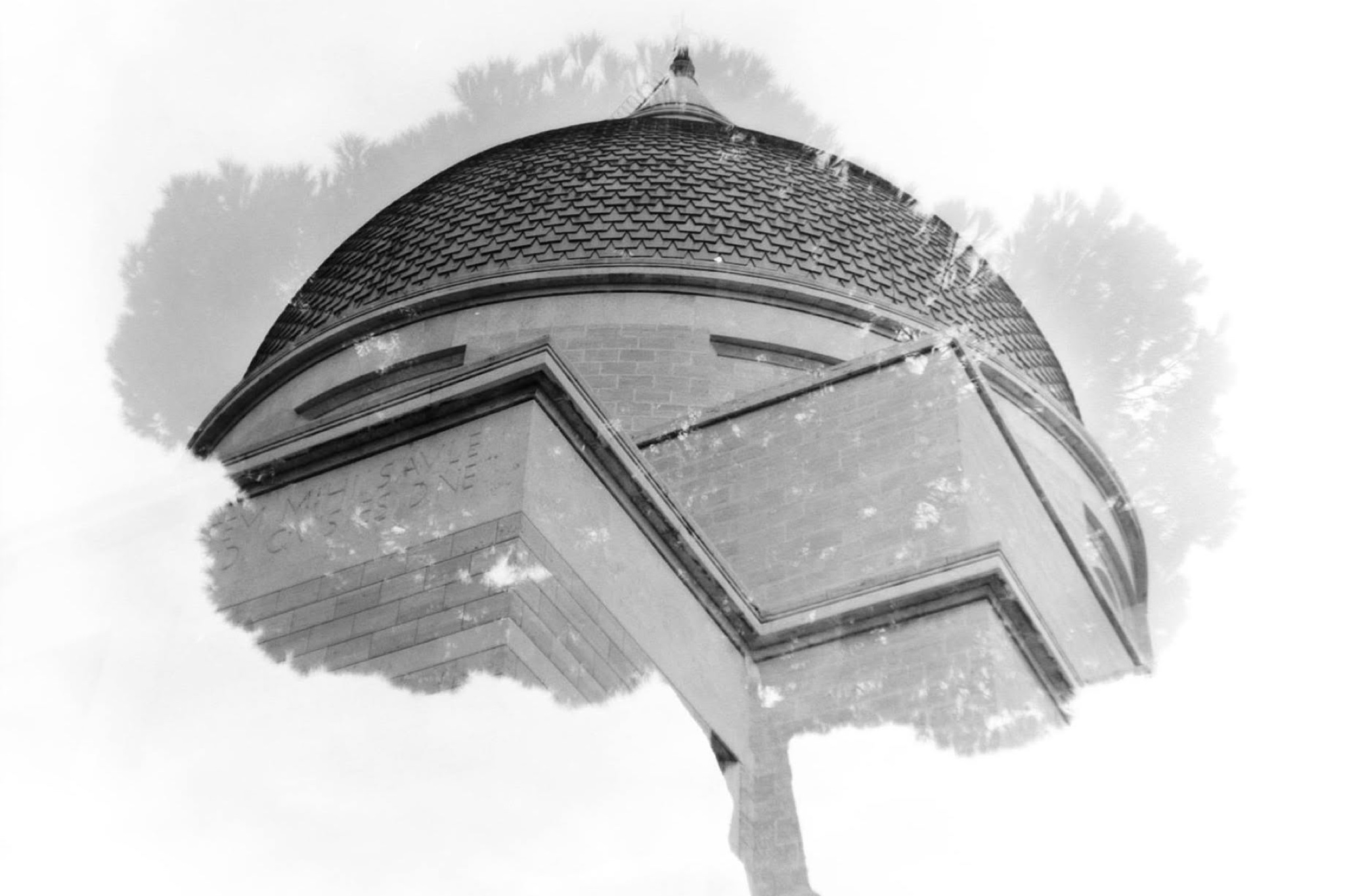 Doppia esposizione di una cupola e silhouette di alberi in bianco e nero