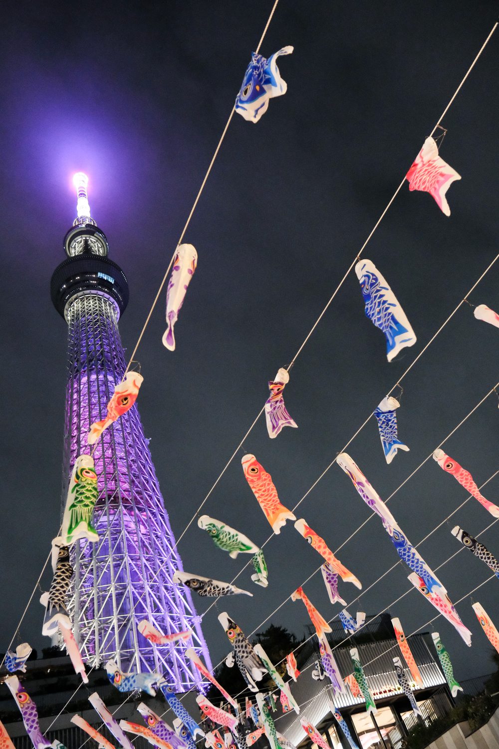 Tokyo Skytree illuminata tra carpe koinobori